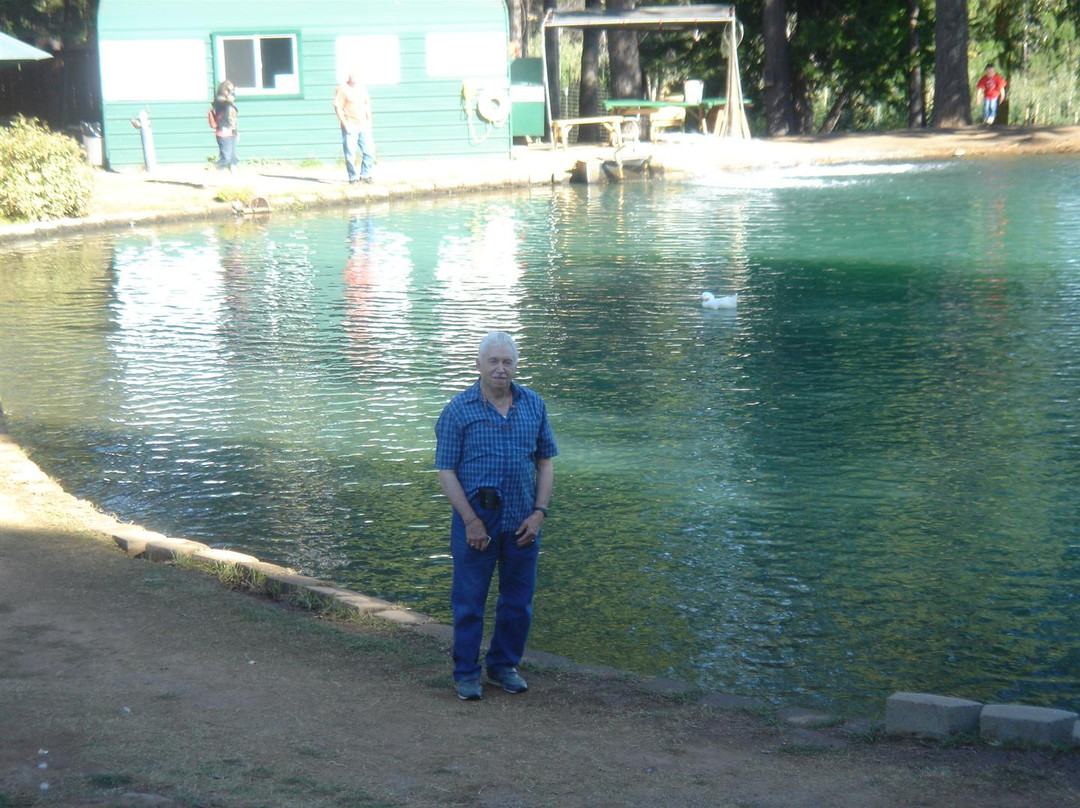 Larsen's Apples-普莱瑟维尔必去景点