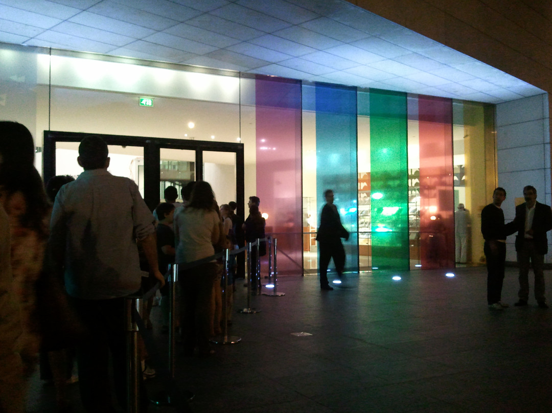 布宜诺斯艾利斯拉丁美洲艺术博物馆-布宜诺斯艾利斯必去景点