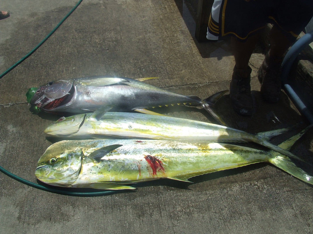Seafari Fishing Charters-拉罗汤加必去景点