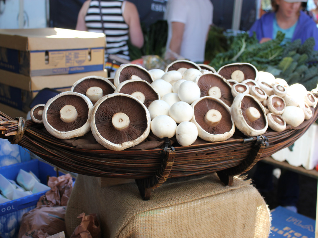 Noosa Farmers Market-努沙必去景点