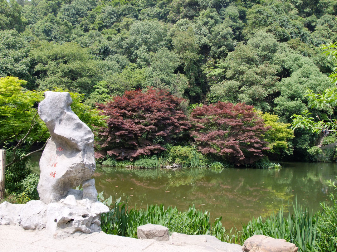 九溪十八涧-杭州市必去景点