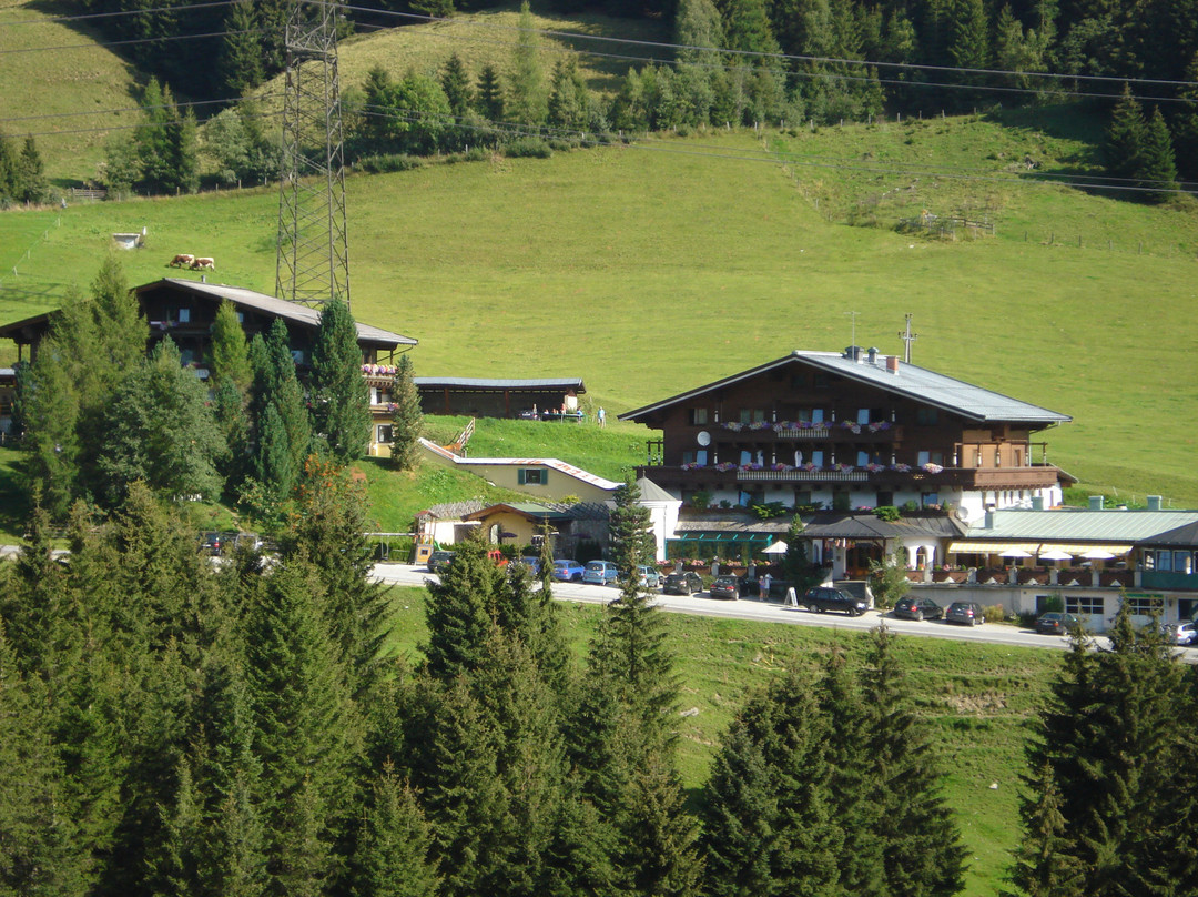 森林品兹高酒店住宿-Berghotel Ronach