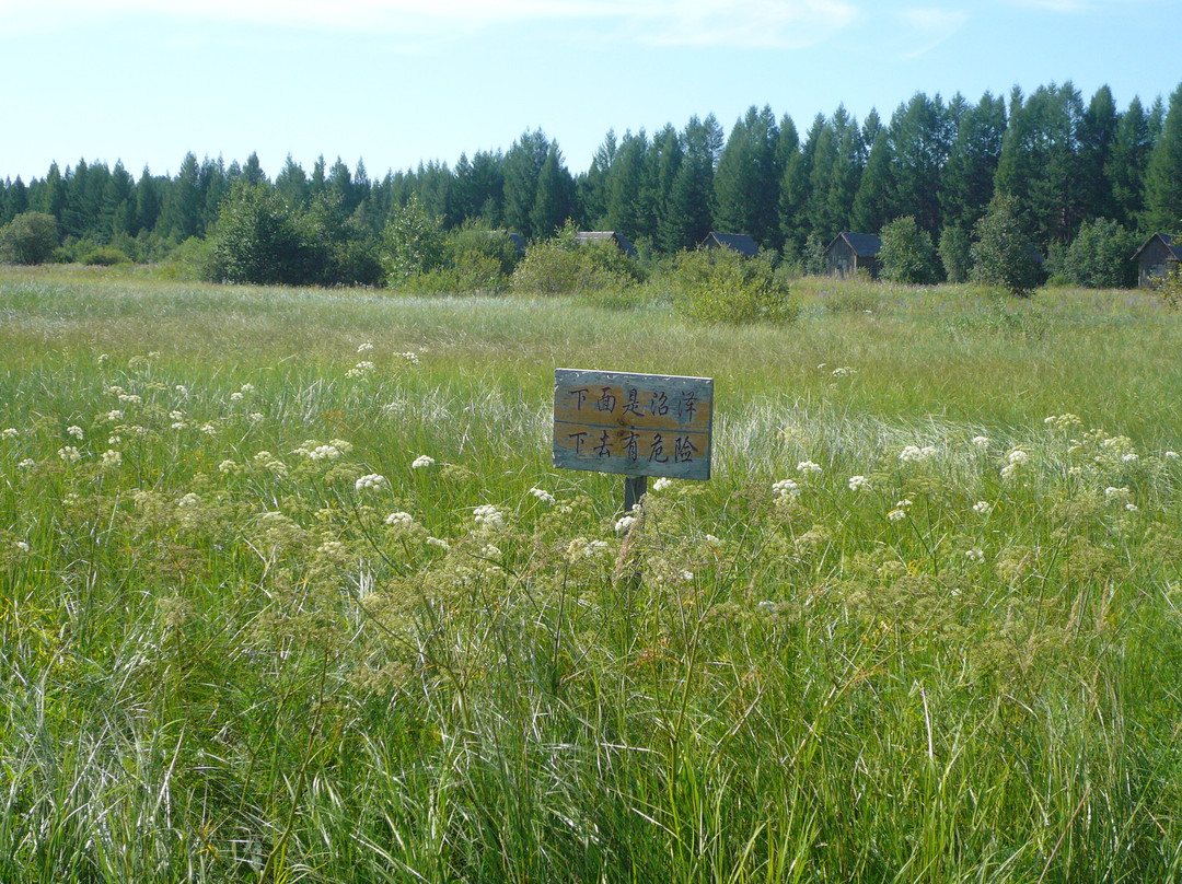 塞罕坝国家森林公园-围场县必去景点