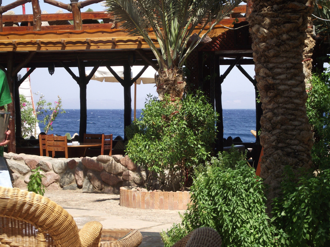 Sea Dancer Dive Resort-达哈卜必去景点