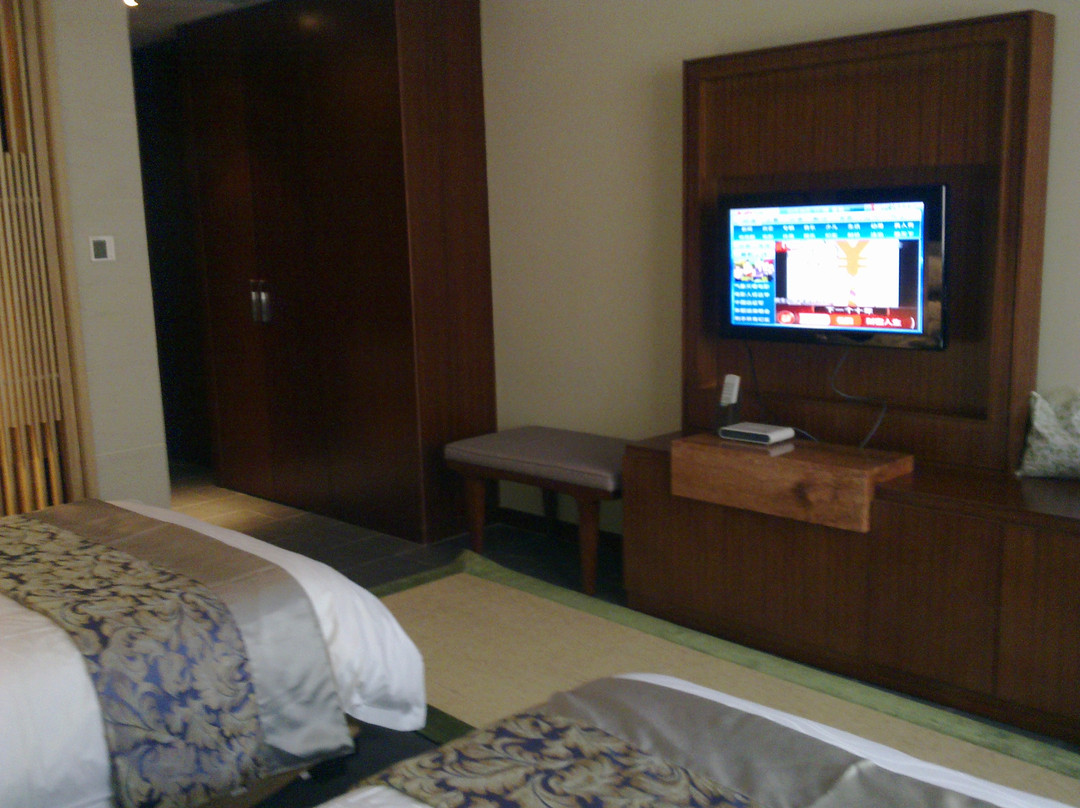 三江森林温泉杜马仕酒店主图