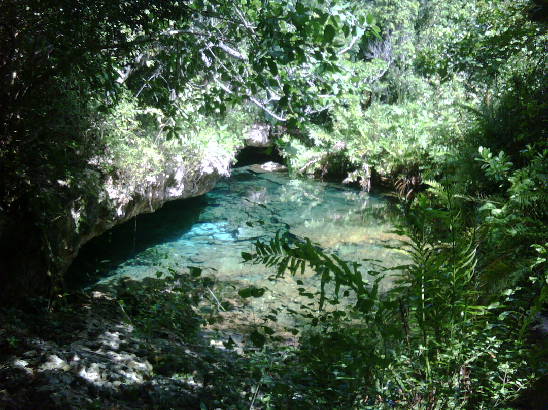 土著眼生态公园-蓬塔卡纳必去景点