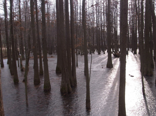 将军山-南京市必去景点