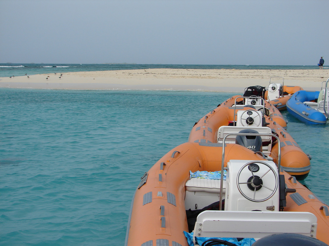 Mini Boat Adventures-法哈多必去景点