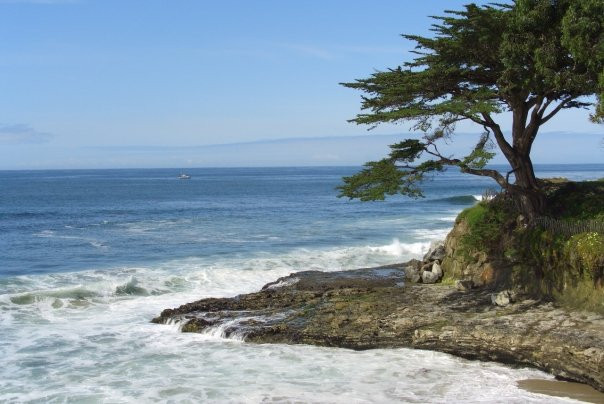 西崖路-圣克鲁斯必去景点