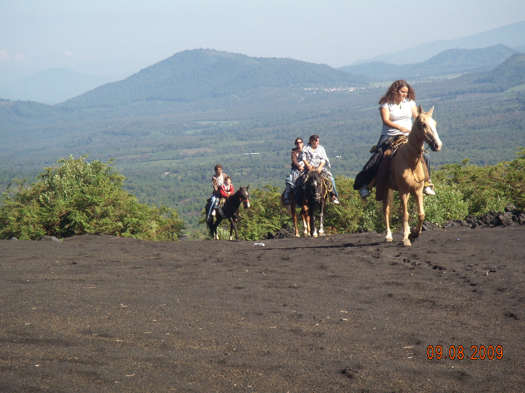 Paricutín Volcano景点图片