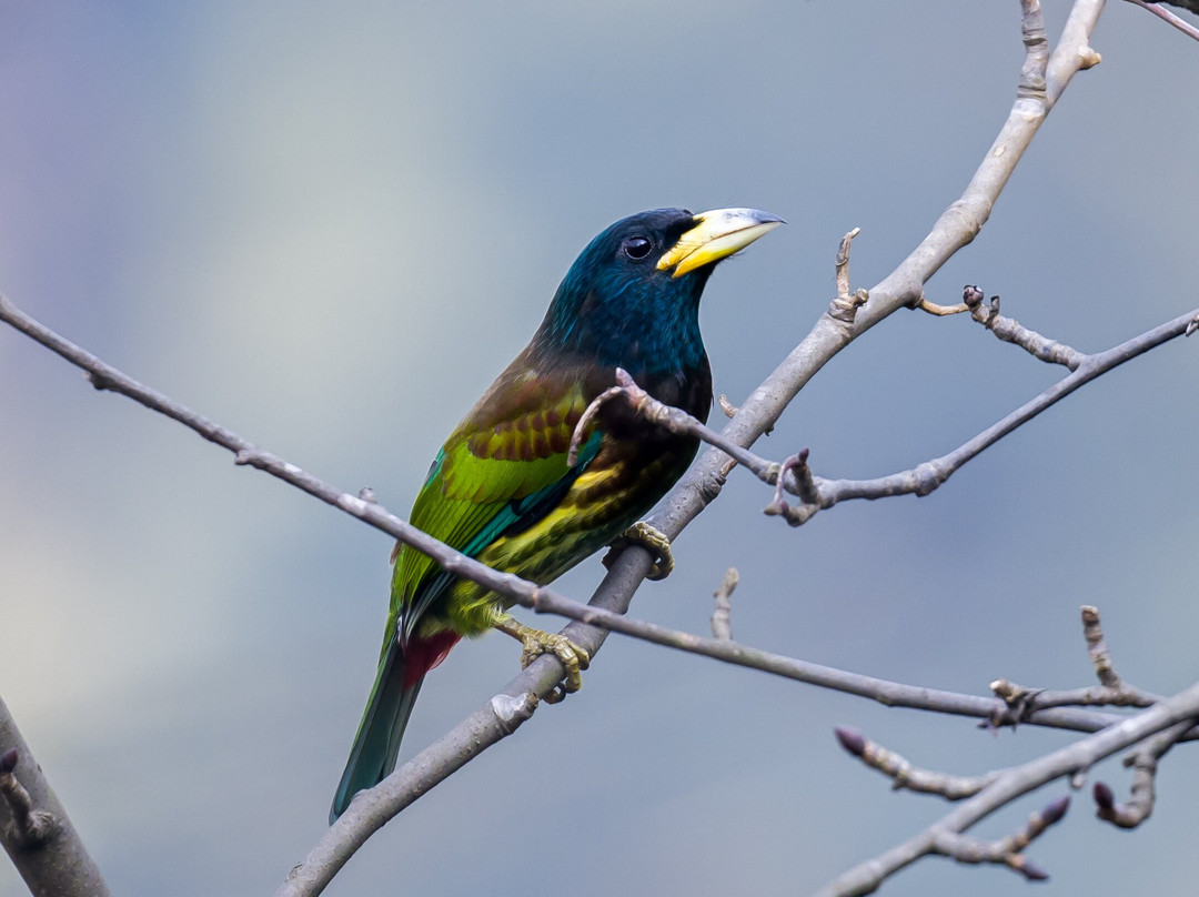 龙苍沟森林公园