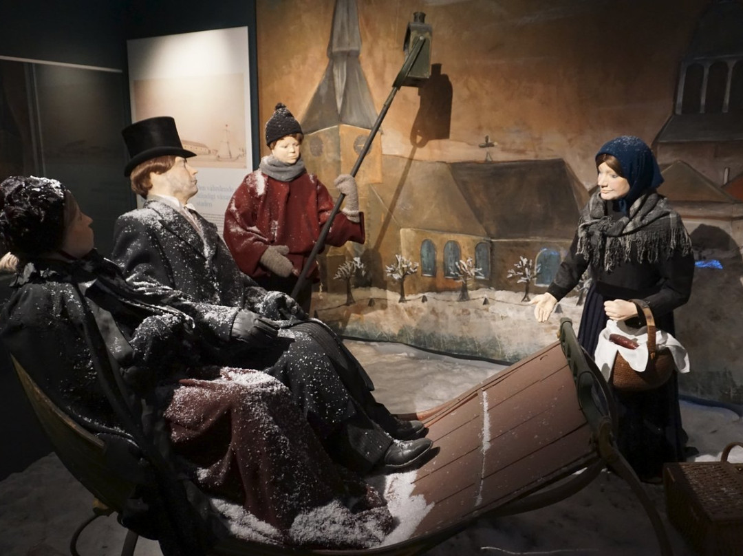 Pohjanmaan Museo - Osterbottens Museum-瓦萨必去景点