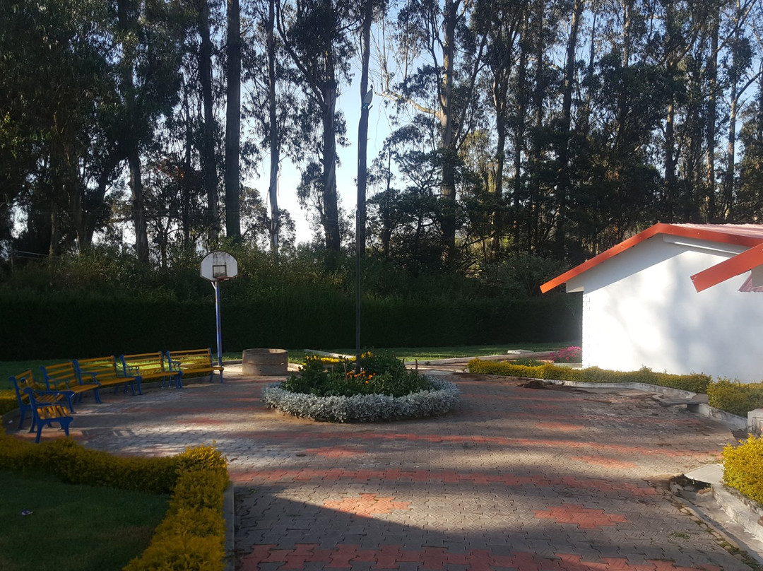 Deccan Plaza Hotel Ooty主图