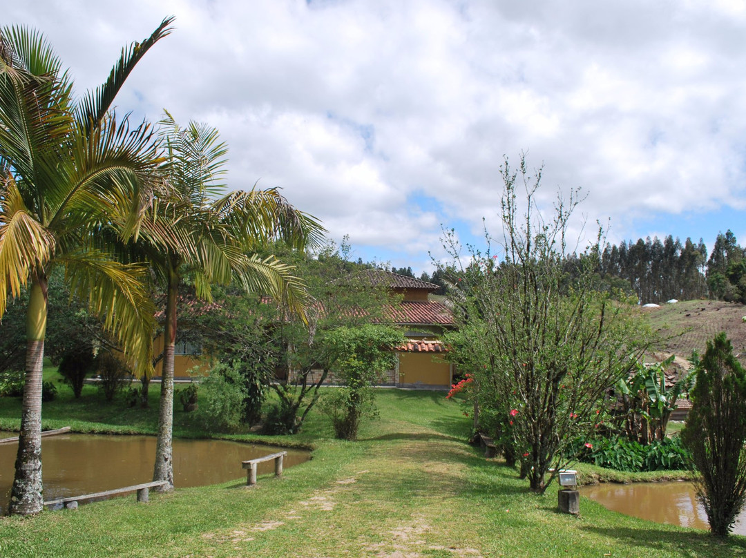 Santa Rosa de Lima旅游攻略图片