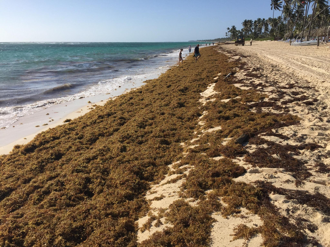 Hotel Club Majestic Resort