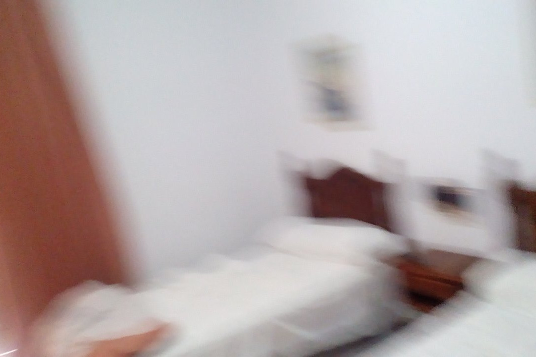 Hotel Real