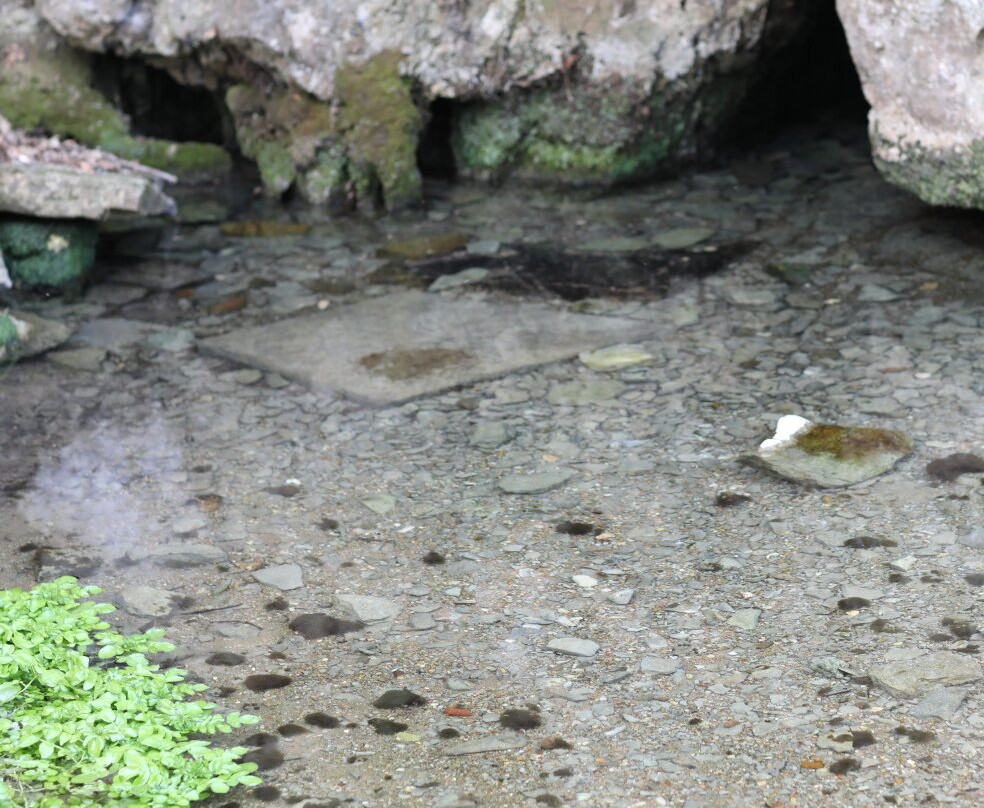 Source résurgente de la Goutteuse-St Boil必去景点