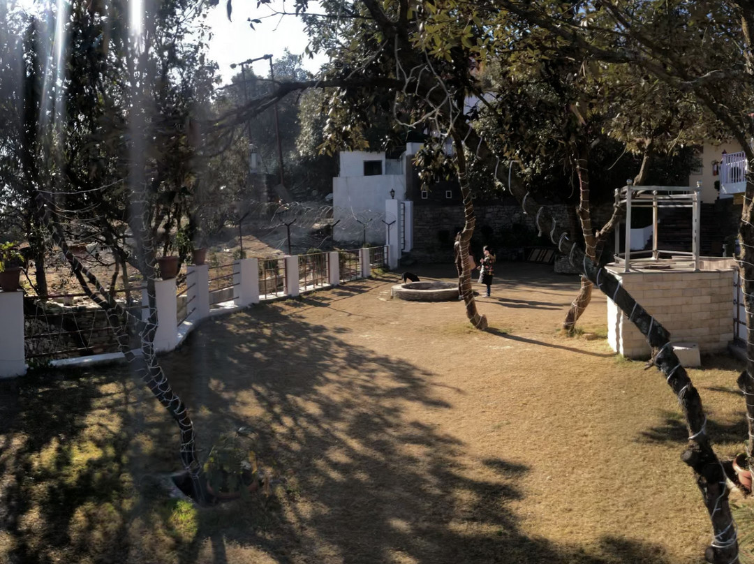 Essence of Nature主图