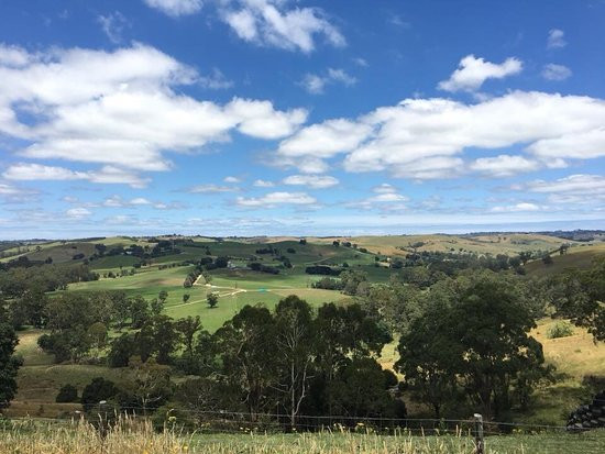 Henry Littledyke Reserve-Nyora必去景点