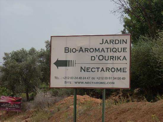 Ourika Valley-Ourika必去景点