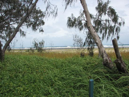 Moreton Island景点图片