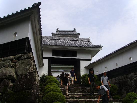 Gujo Hachiman Castle-郡上市必去景点