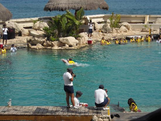 Dolphinaris-考祖梅必去景点