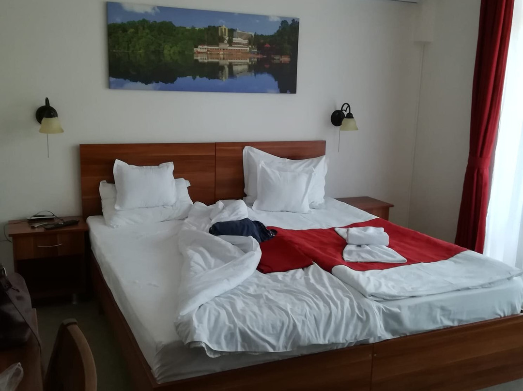 Pensiunea Comfort主图