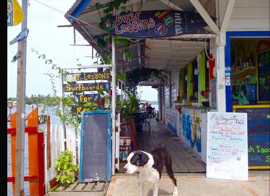 Bocas Pub Cruise景点图片