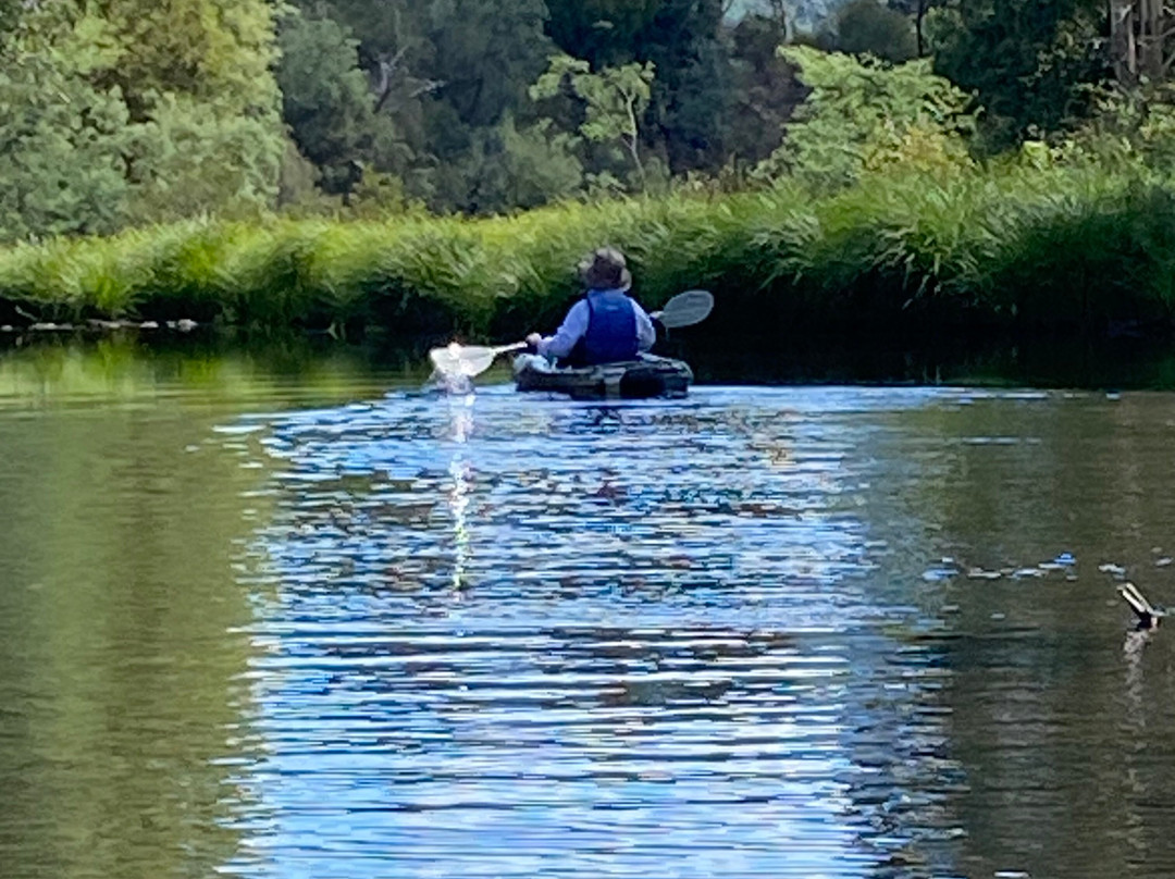 Jamieson Kayak Rental-Jamieson必去景点