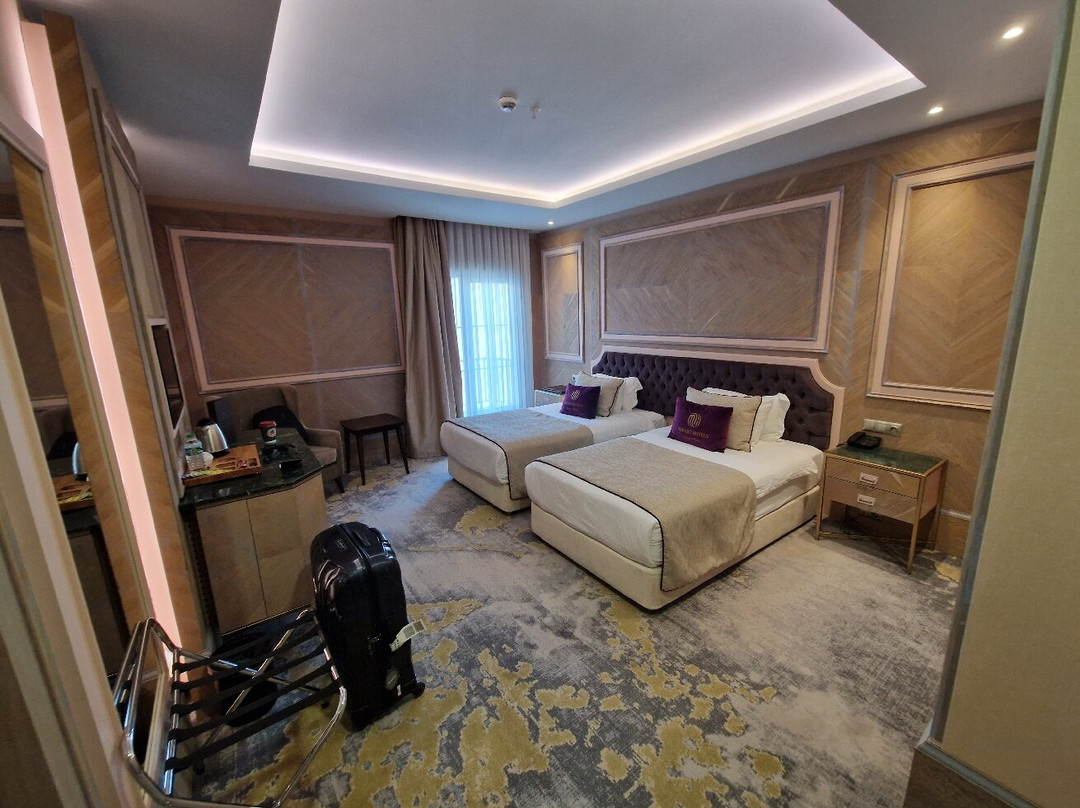Mirart Hotel Boutique & Spa主图