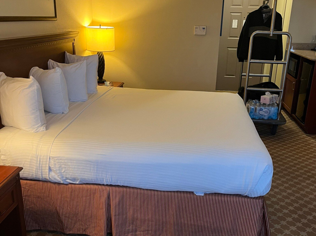 曼彻斯特机场乡村套房酒店主图