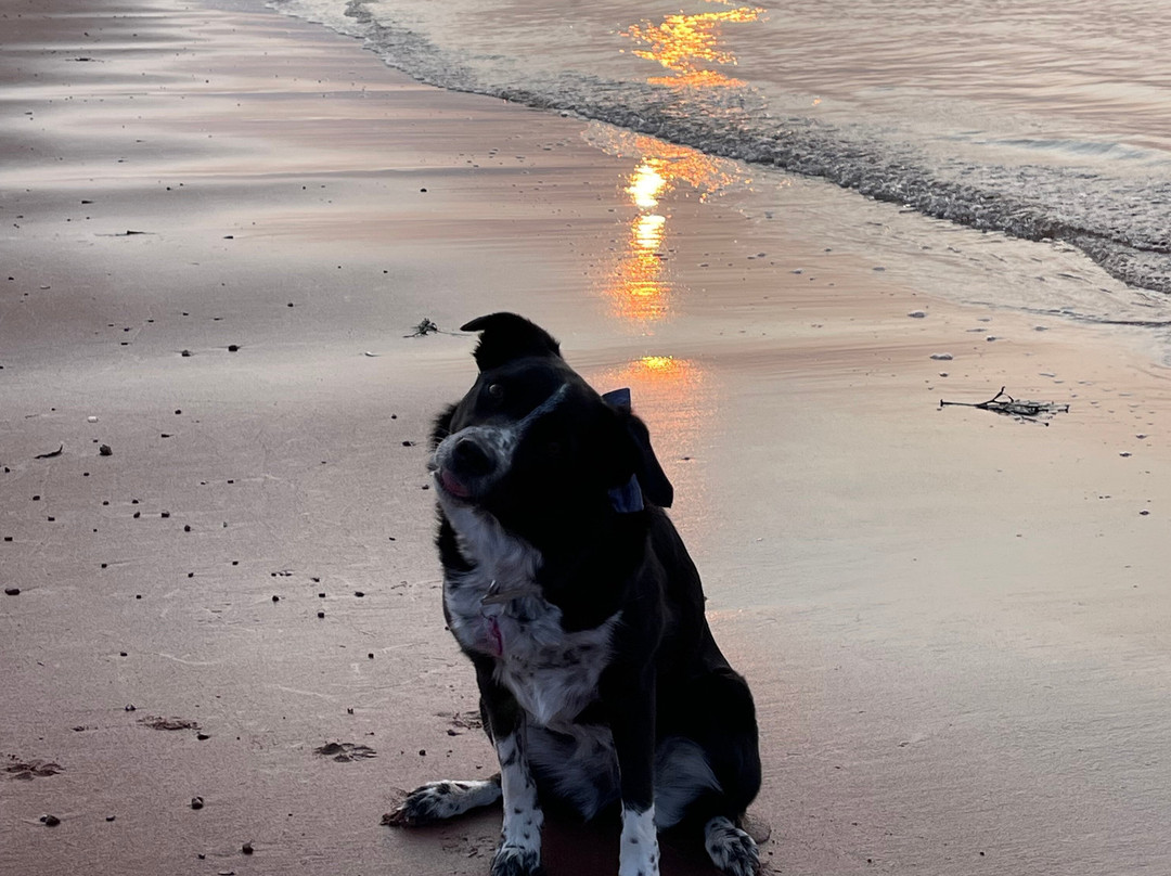 Souris酒店住宿-North Lake Beach Motel