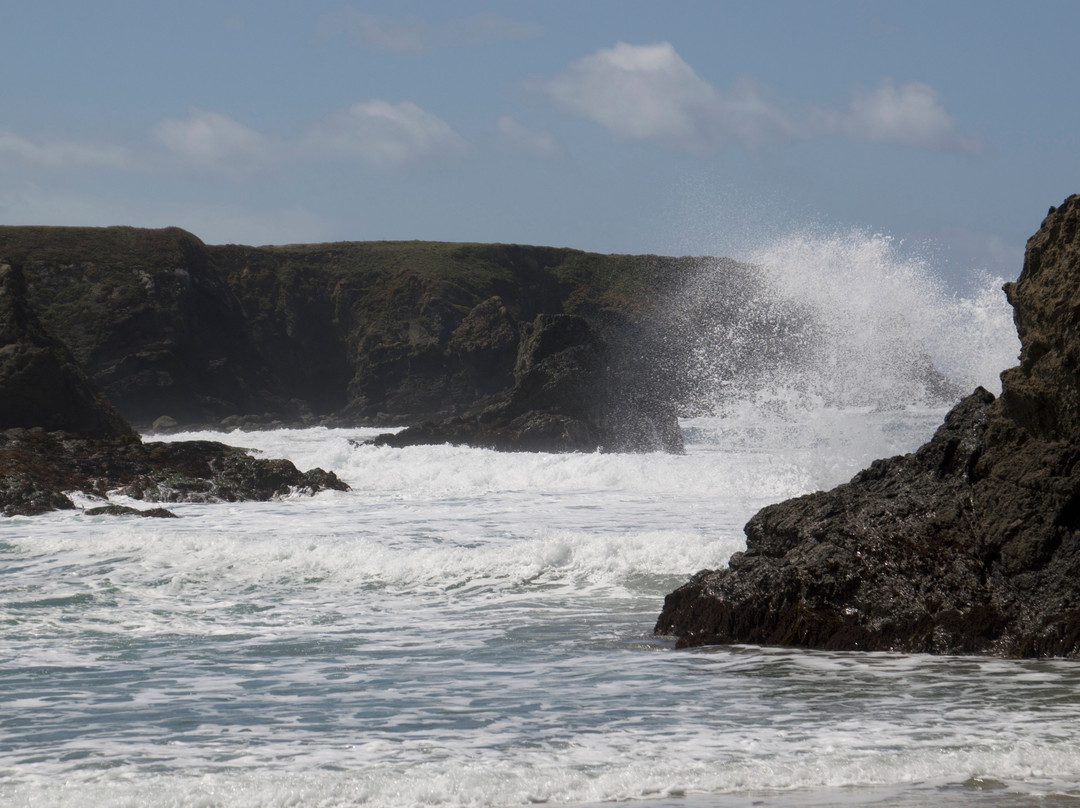 Jug Handle State Natural Preserve-卡斯帕必去景点