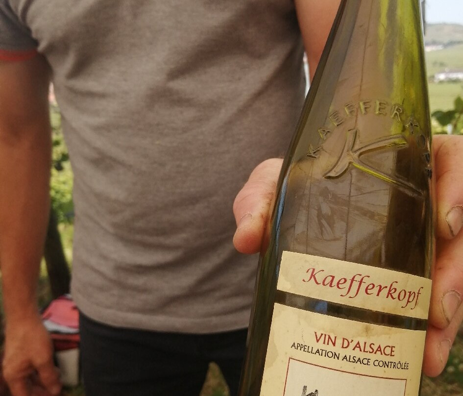 Domaine Marcel Freyburger景点图片