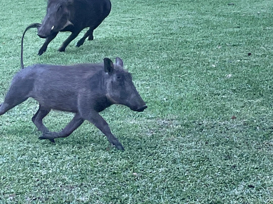 The Victoria Falls Hotel主图