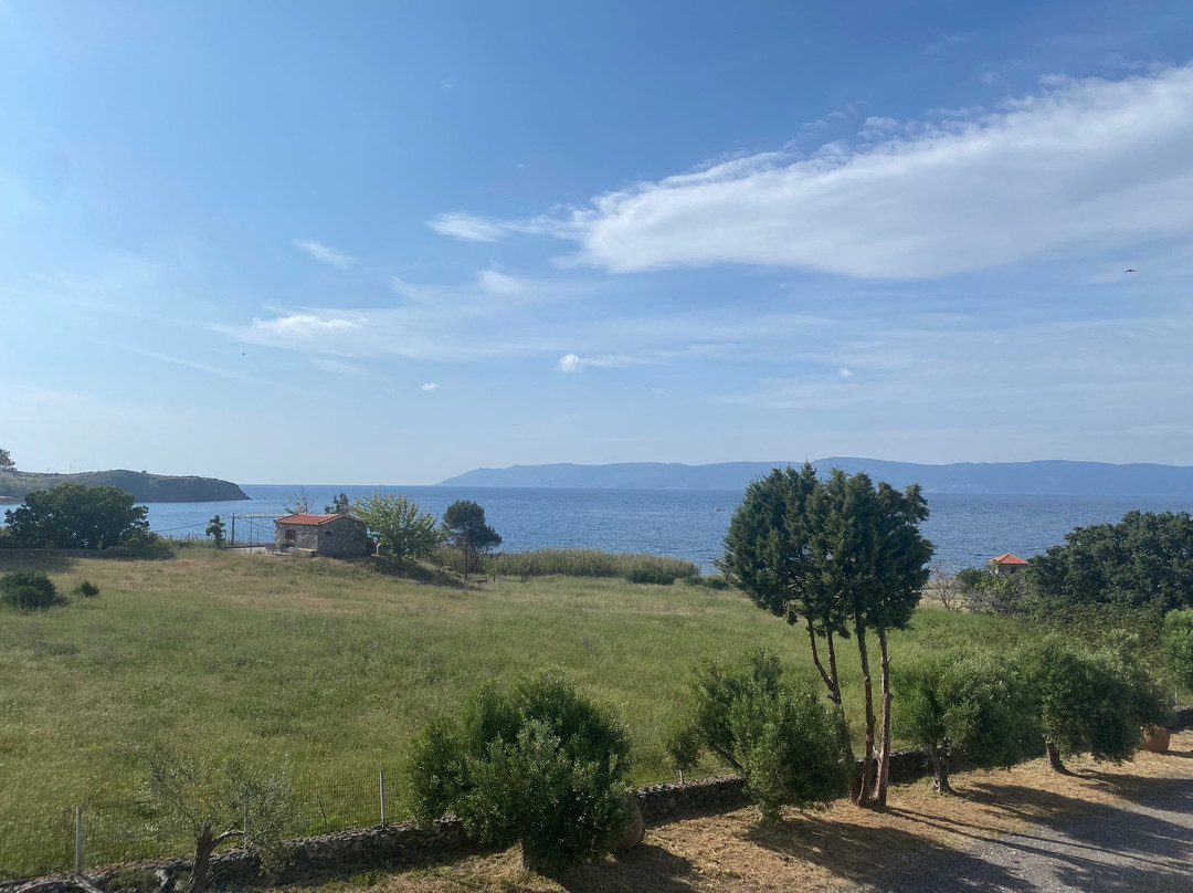 Panselinos Hotel主图