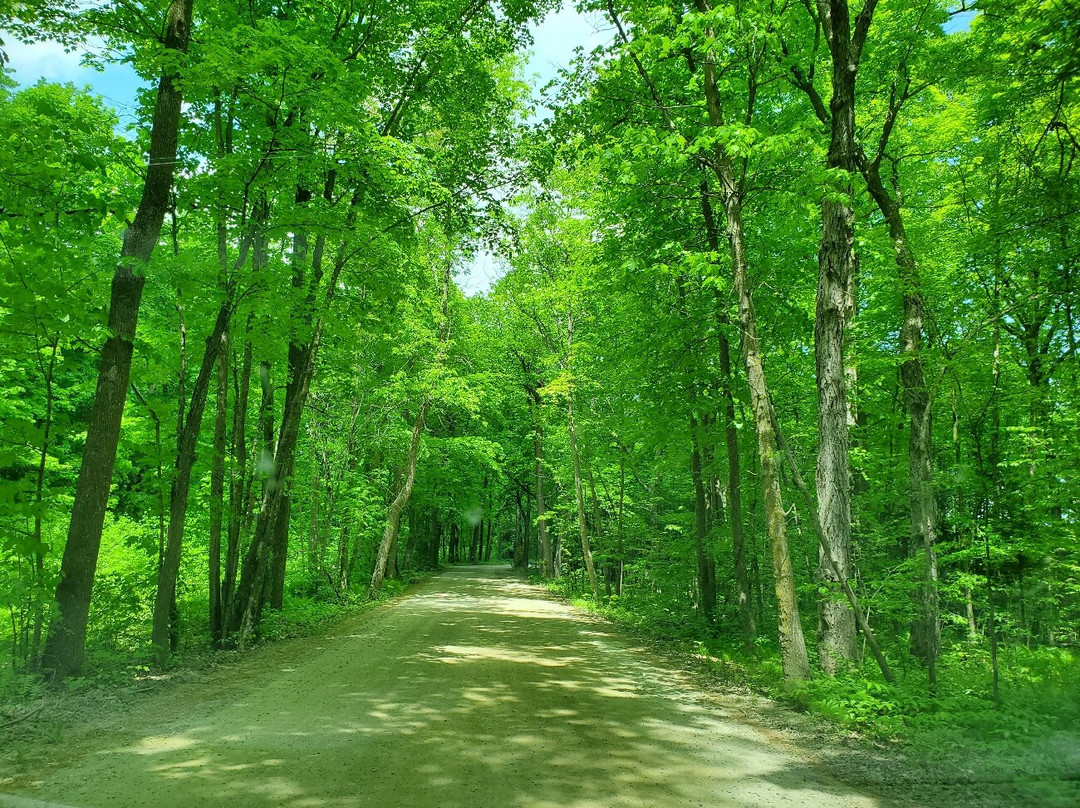 Leech Lake-Walker必去景点