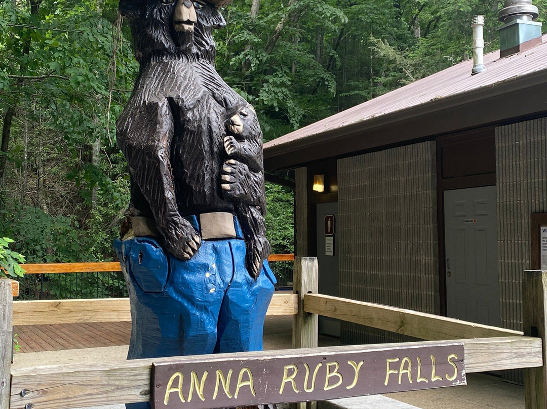 Anna Ruby Falls景点图片