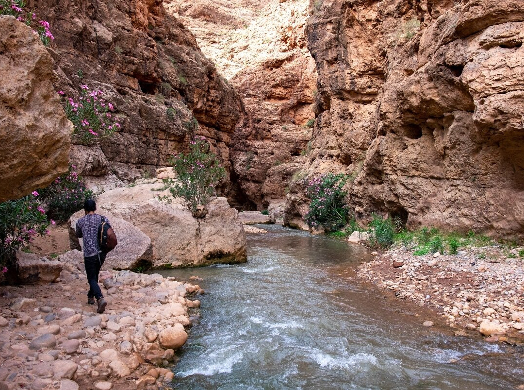 Tafsut Guesthouse主图