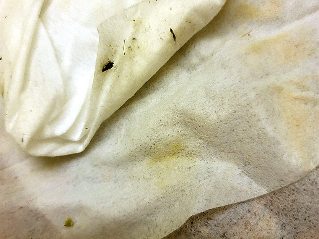 Days Inn by Wyndham St George主图