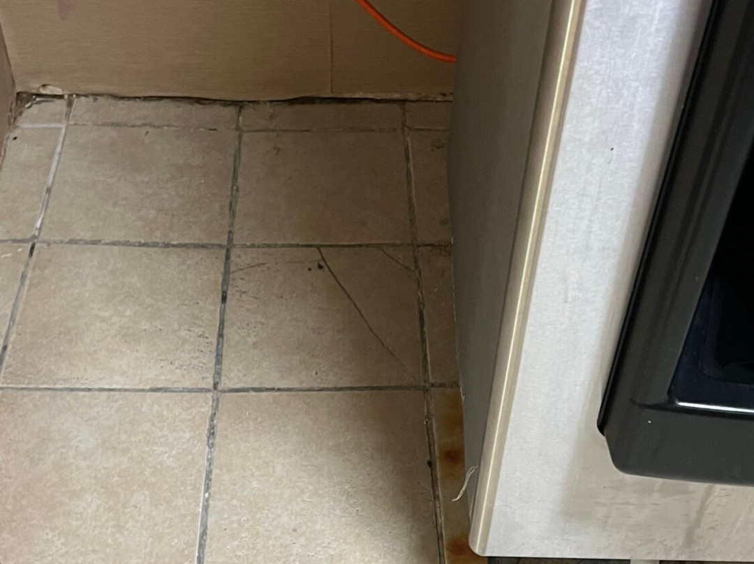 Comfort Suites Airport South主图