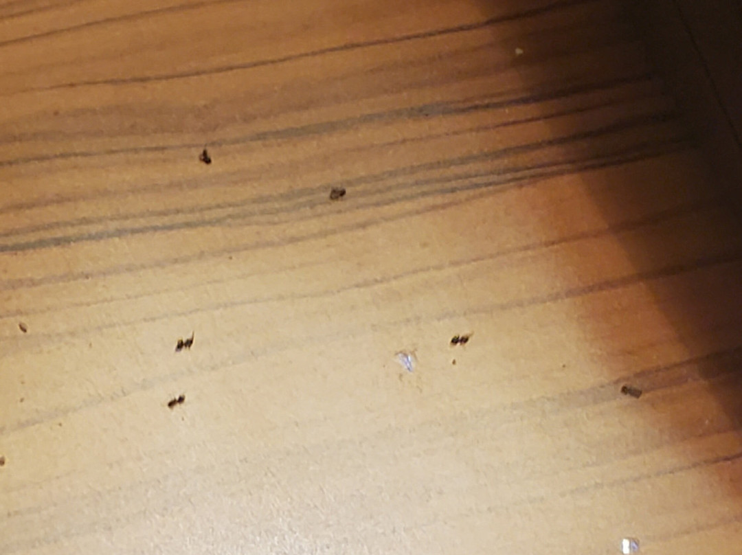 Fairfield by Marriott Inn & Suites Huntington主图