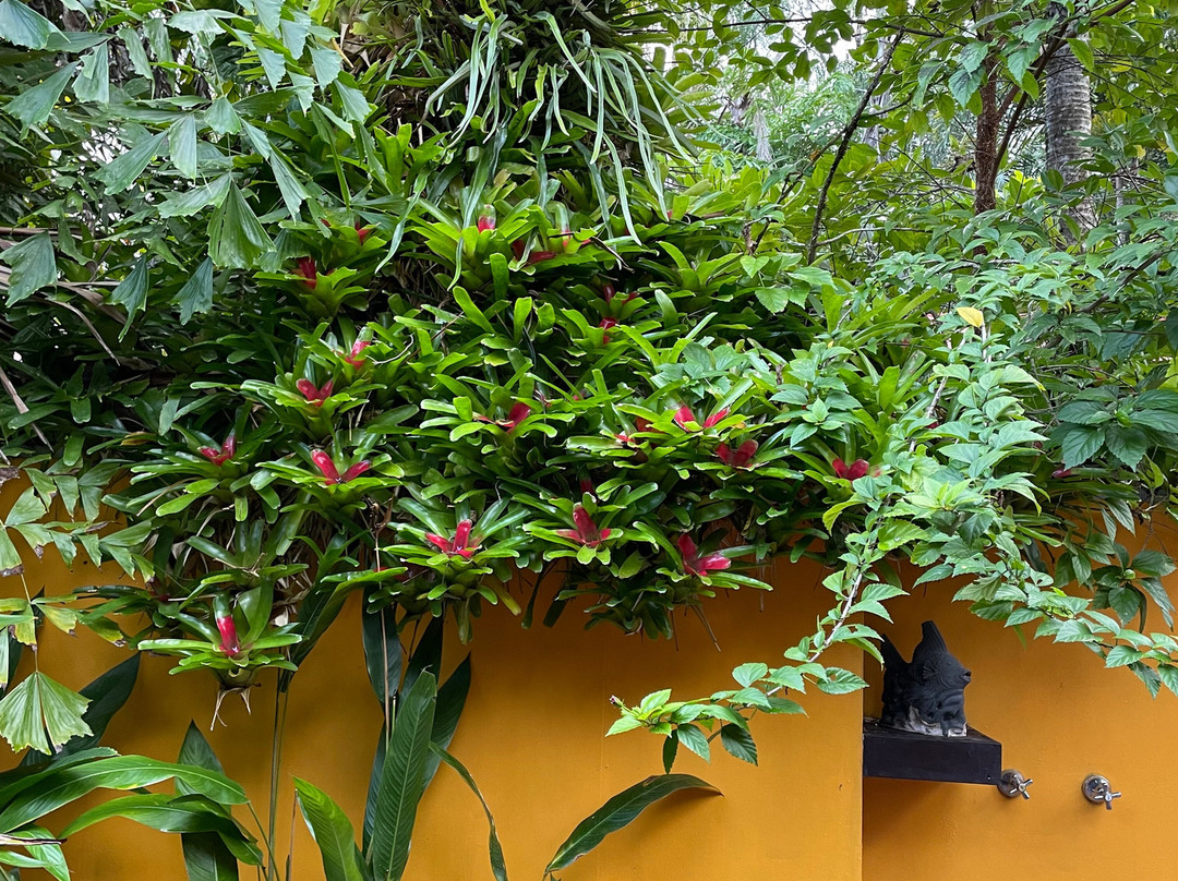 粉红火烈鸟度假酒店主图