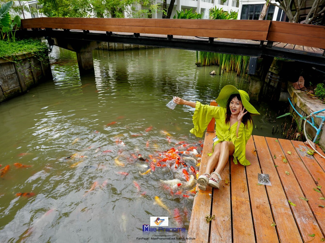 鲁马帕瓦安帕瓦度假村主图