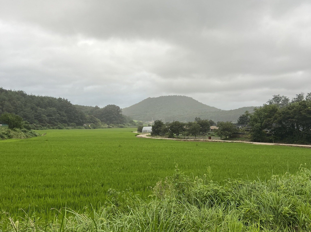 Goseong Wanggok Maeul景点图片