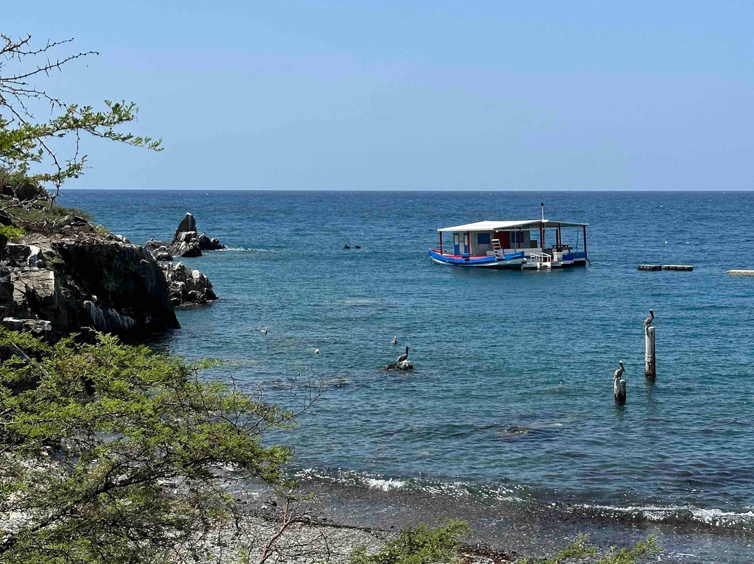 Tiki Hut Snorkel Park景点图片