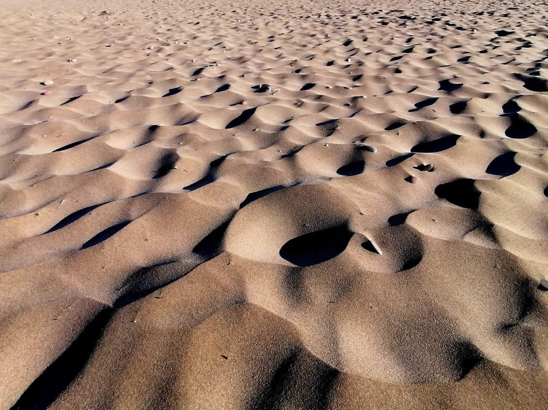 Platja De Canet D'en Berenguer景点图片