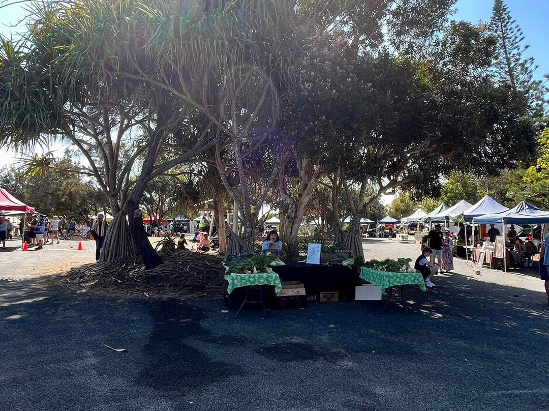 Yamba River Markets景点图片