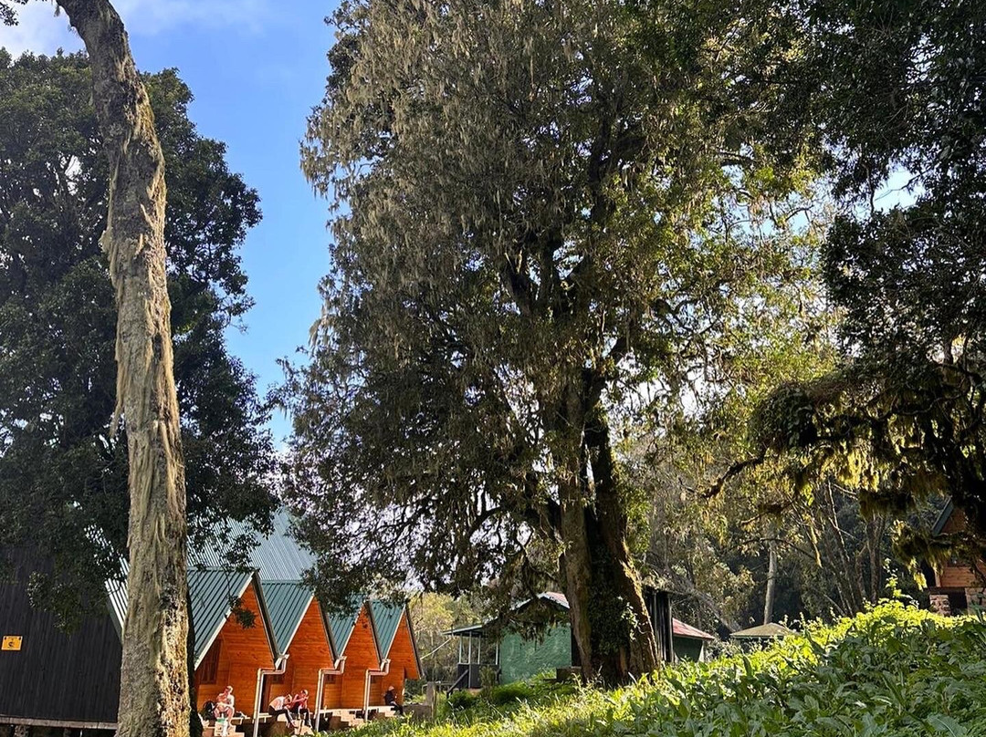 Shizi Safari-阿鲁沙必去景点